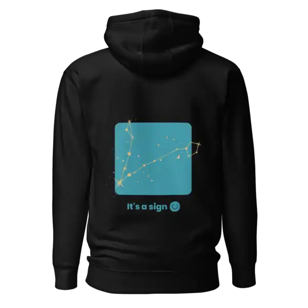 unisex-premium-pullover-hoodie-black-back-69dfc3c62e119.webp