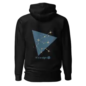 unisex-premium-pullover-hoodie-black-back-69dfc826e4071