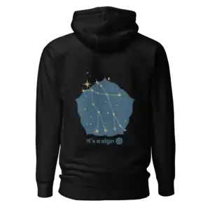 unisex-premium-pullover-hoodie-black-back-69dfc93287f56