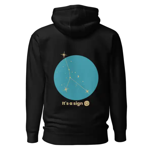 unisex-premium-pullover-hoodie-black-back-69dfc9e0cd4f9.webp