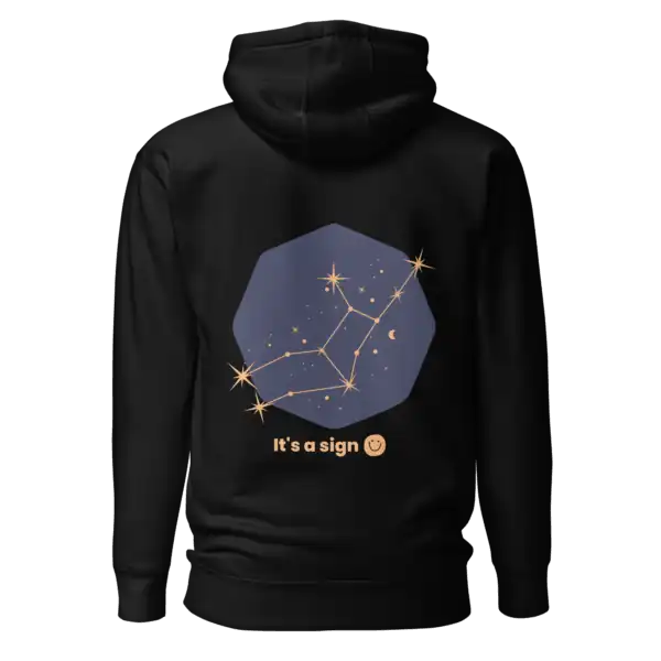 unisex-premium-pullover-hoodie-black-back-69dfca305426a.webp