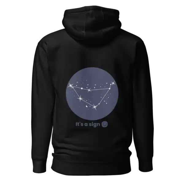unisex-premium-pullover-hoodie-black-back-69dfca849dab7.webp